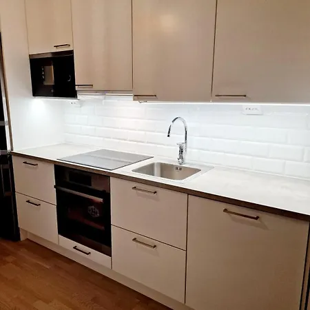 New Flat Near The Port * Κουόπιο
