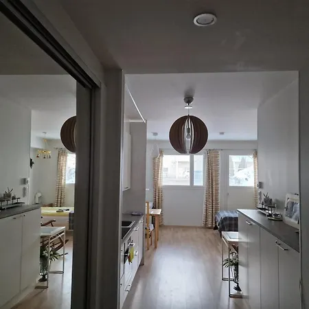 公寓 New Flat Near The Port 库奥皮奥